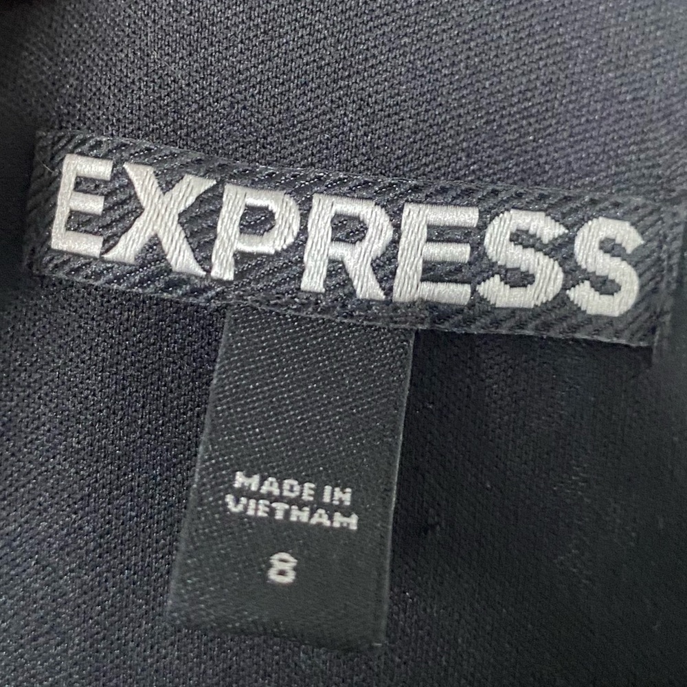 Express Dress - Picture 4 of 4